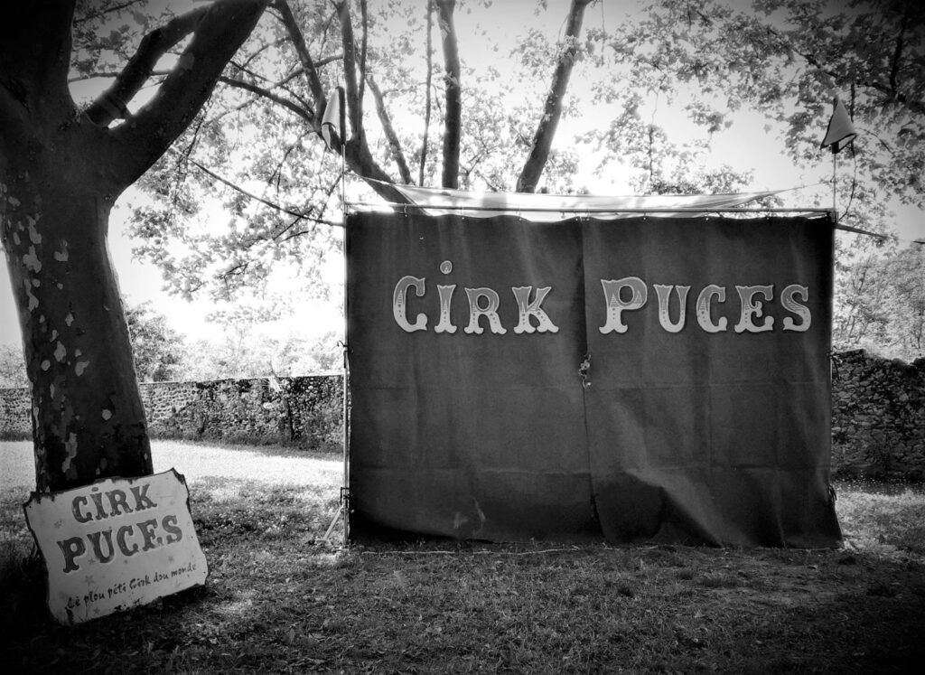 Le Cirk Puces